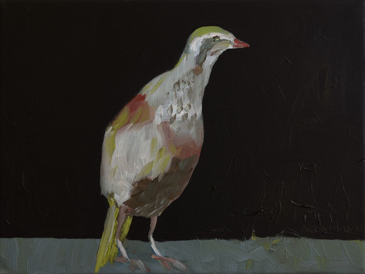 Partridge Night, oil on linen, 40 x 50 cm, 2013