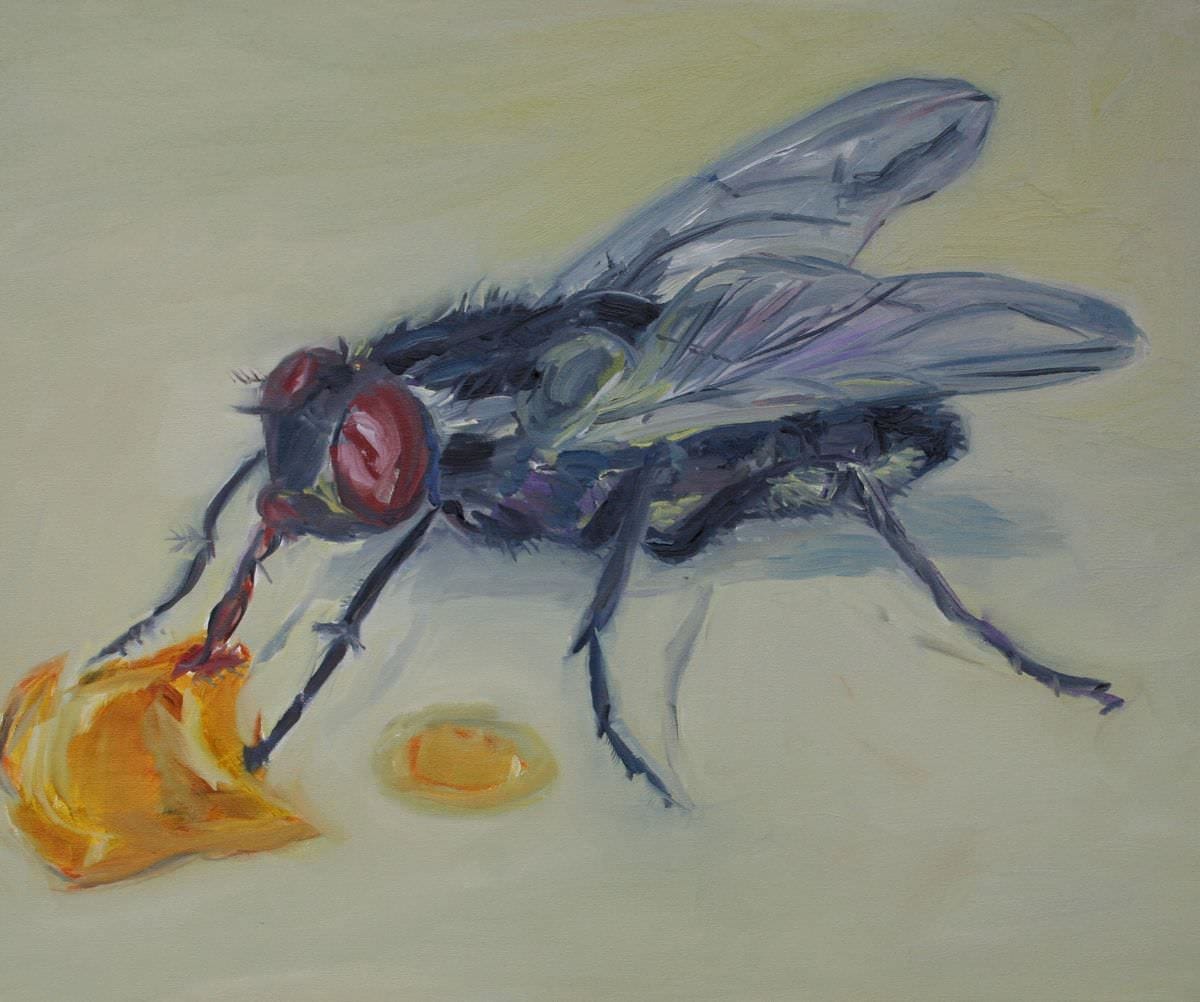Sabine Beckmann, Honeyfly, oil on linen, 50 x 60 cm, 2006